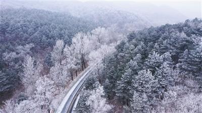 奥斯卡红毯秀